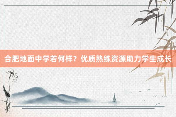 合肥地面中学若何样？优质熟练资源助力学生成长